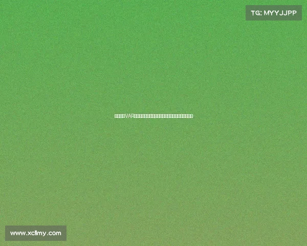 法甲赛场VAR技术的应用与争议分析：公平性与精准性的双重考验