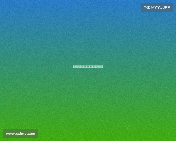 德甲球队战术演变与现代足球理念的融合分析