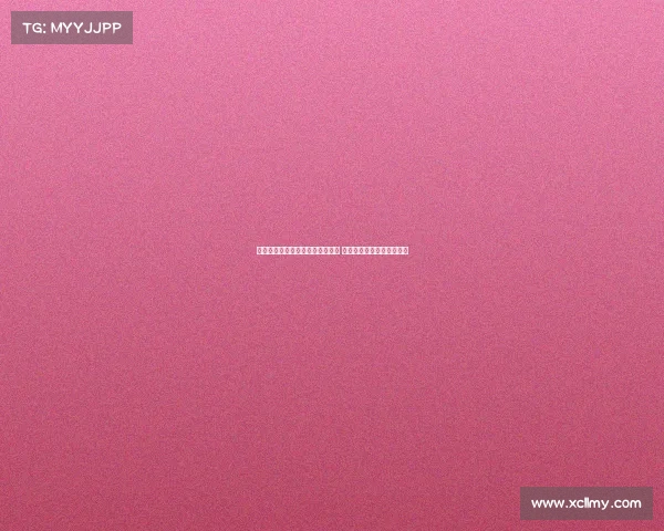 葡媒报道哲凯转会阿森纳进展停滞 其他相关传闻均为不实消息